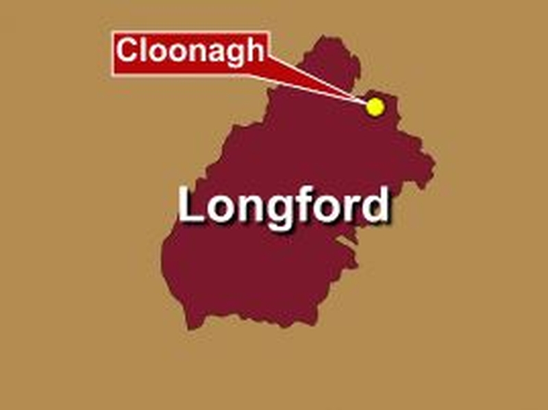 Boy dies in Co Longford farm accident