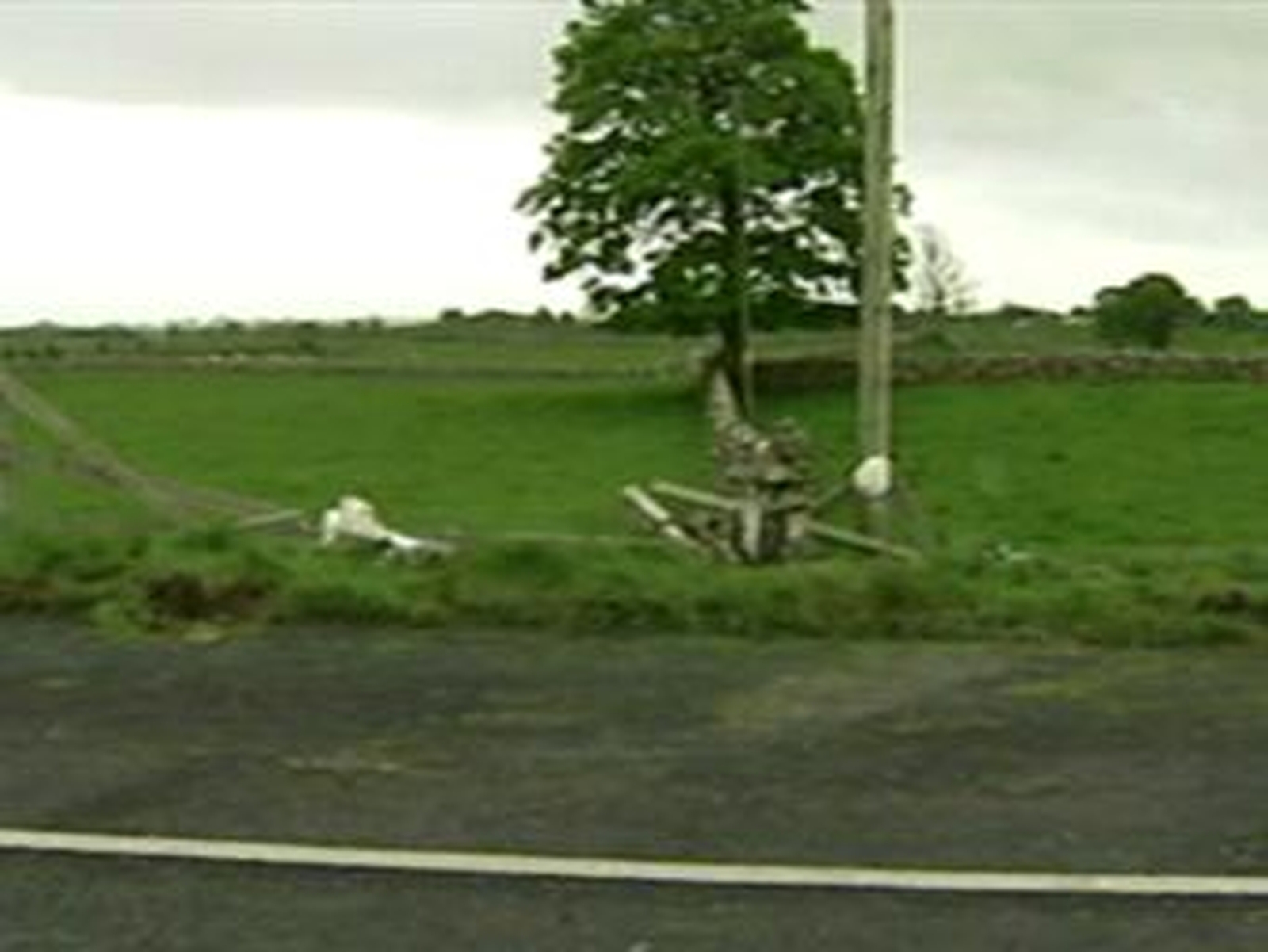 Appeal for Galway crash witnesses