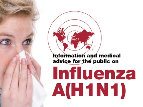 Swine flu - HSE advice available