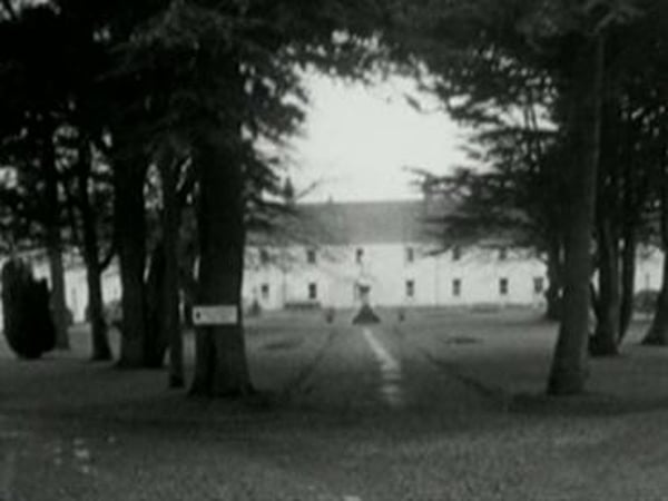 Abuse - Contribution to redress scheme on agenda