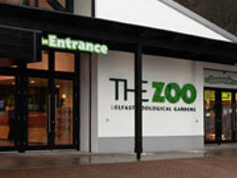 Fire destroys building at Belfast Zoo