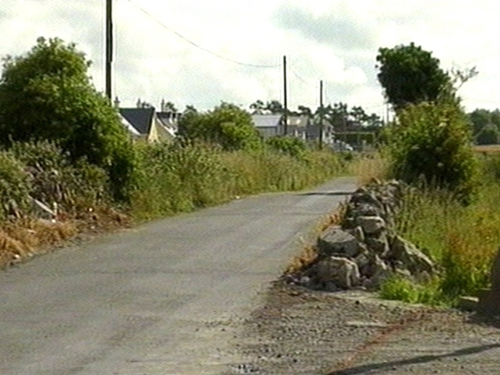Man killed in Co Galway road accident
