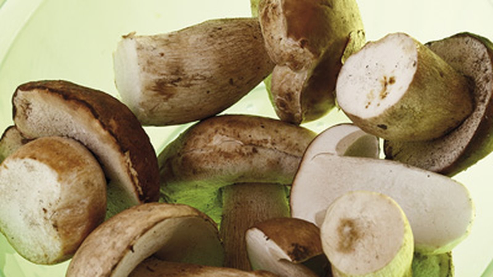 Mushroom Cream Sauce