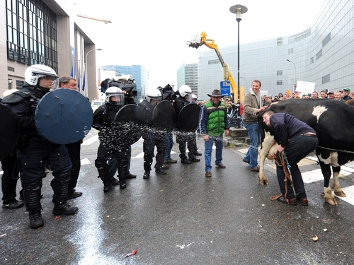 Dairy farmers - Ongoing protests over milk prices