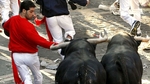 Bull Running