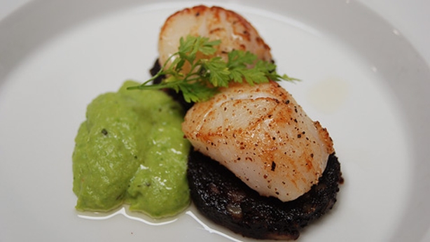 Pan Seared Scallops on Black Pudding, Mint Pea Puree, Chilli Oil Dressing