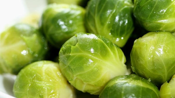 Richard Corrigan's Brussels Sprouts with Light Cheese Sauce