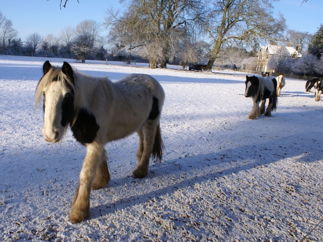 Weather: Your Snow and Ice Photos