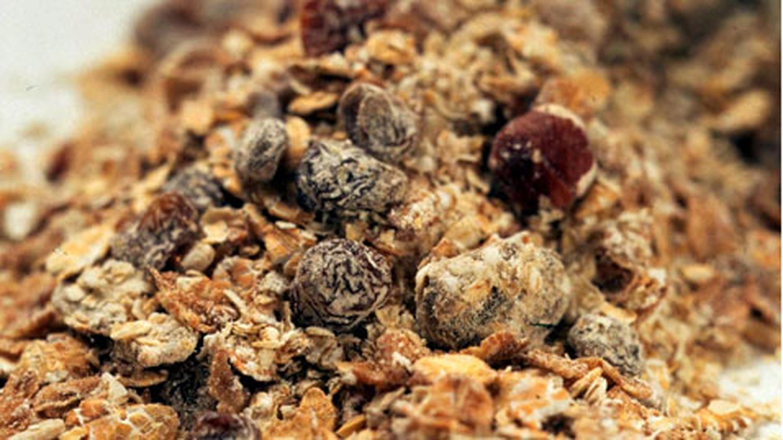 Fibrerich muesli
