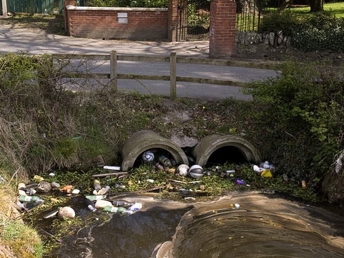 Pollution - Water management plans criticised by SWAN