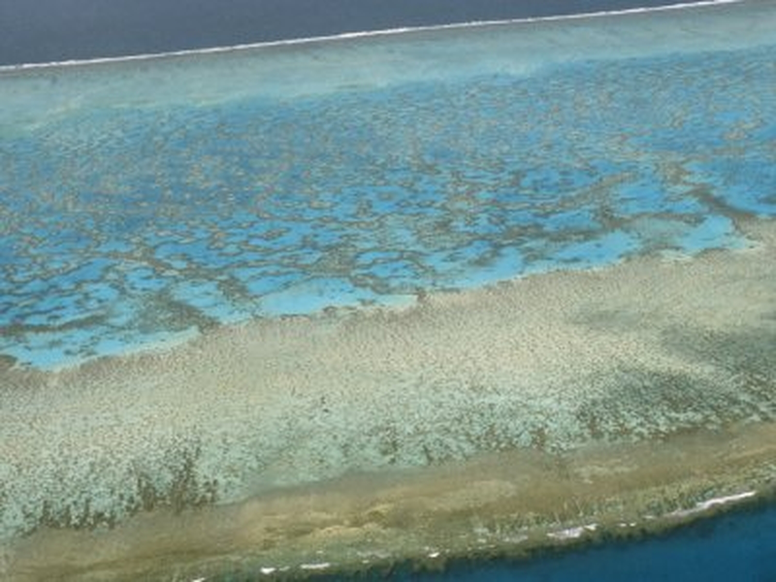 Oil leak threatens Great Barrier Reef