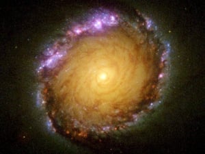 In the centre of the barred spiral galaxy NGC 1512, the Hubble telescope reveals a stunning 2,400 light-year-wide circle of infant star clusters.