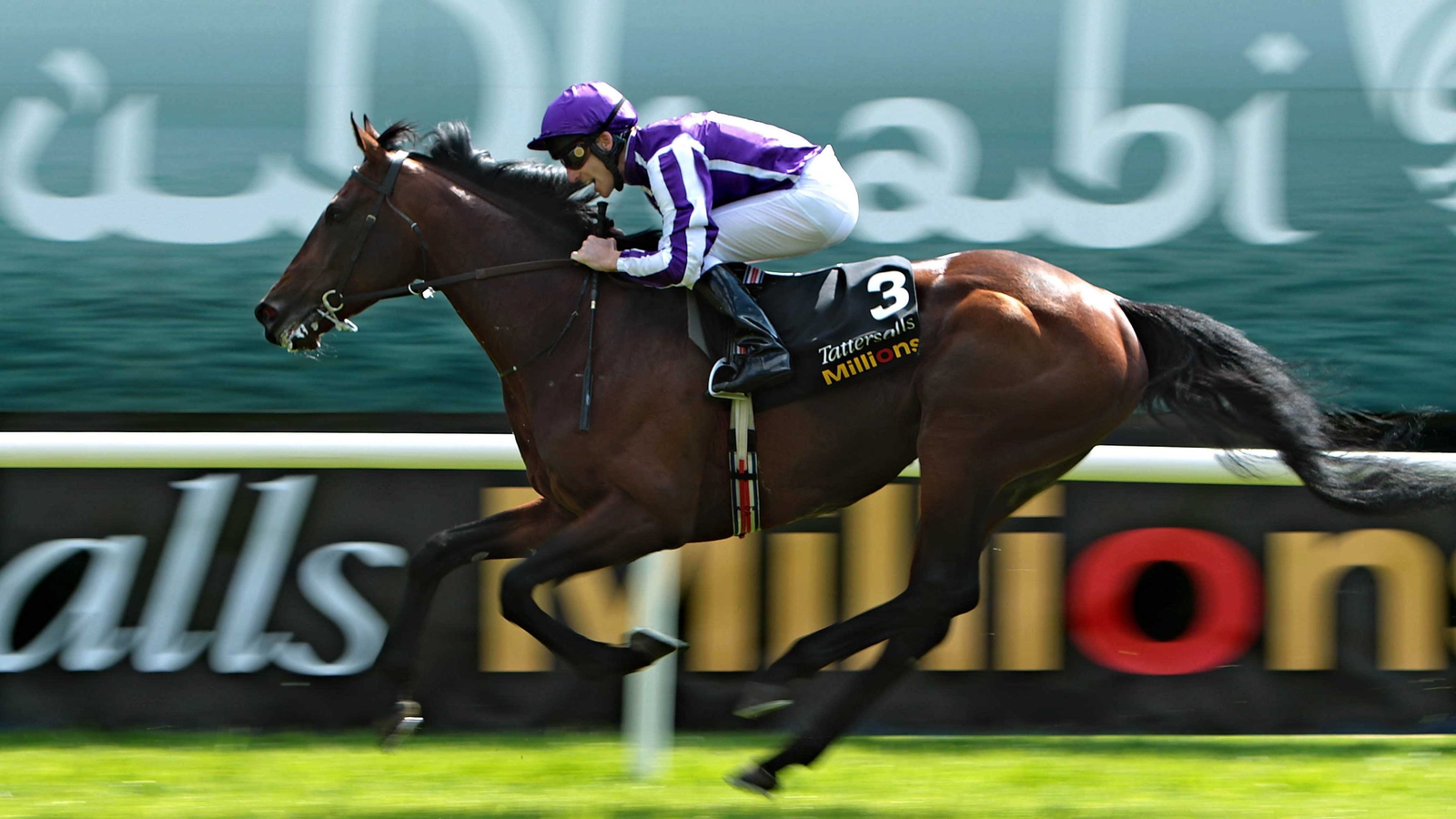 Ballydoyle Staff Fined For Laying Stable S Runners