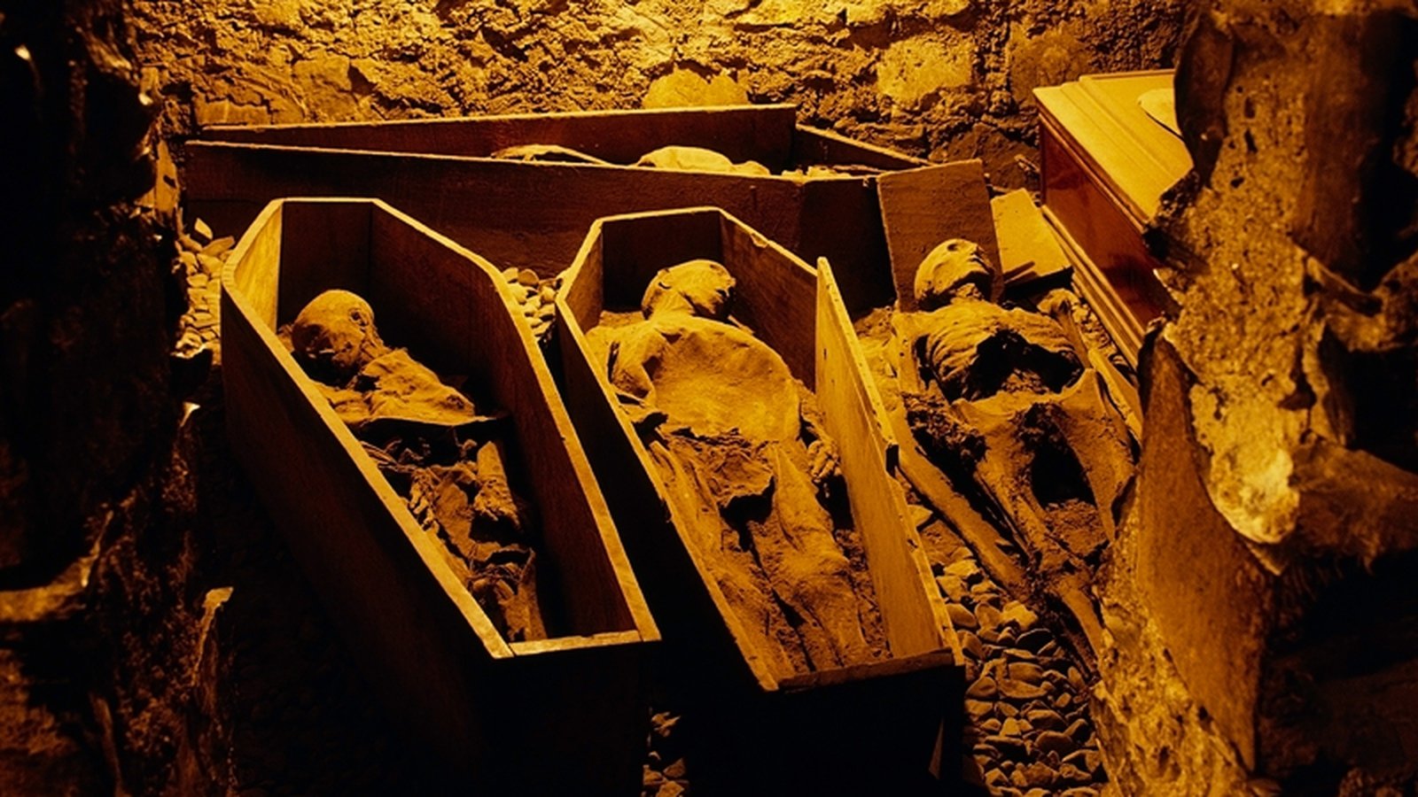 Five mummified remains destroyed in Dublin crypt fire
