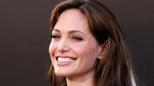 Angelina Jolie  Fashion louis vuitton