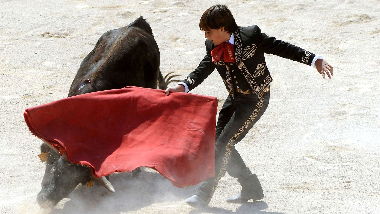 Catalonia Bans Bullfighting