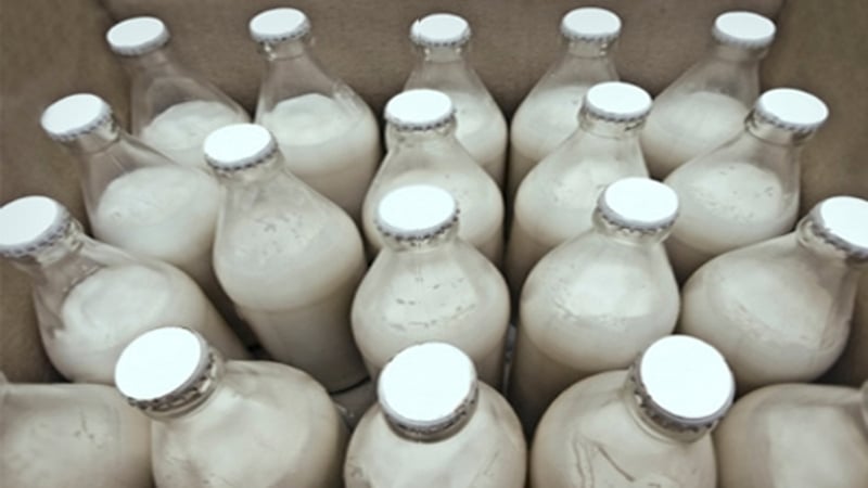 Milk Price Collapse