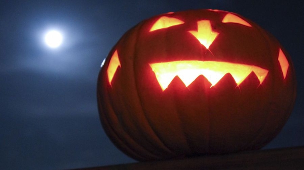 Sales of pumpkins have already soared over 32% over the past 12 weeks compared to last year