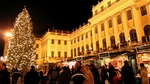Vienna has had a tradition of Christmas markets since the 13th century