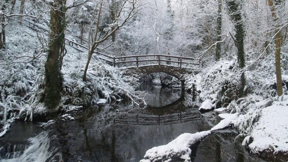 http://img.rasset.ie/0003faec-970.jpg