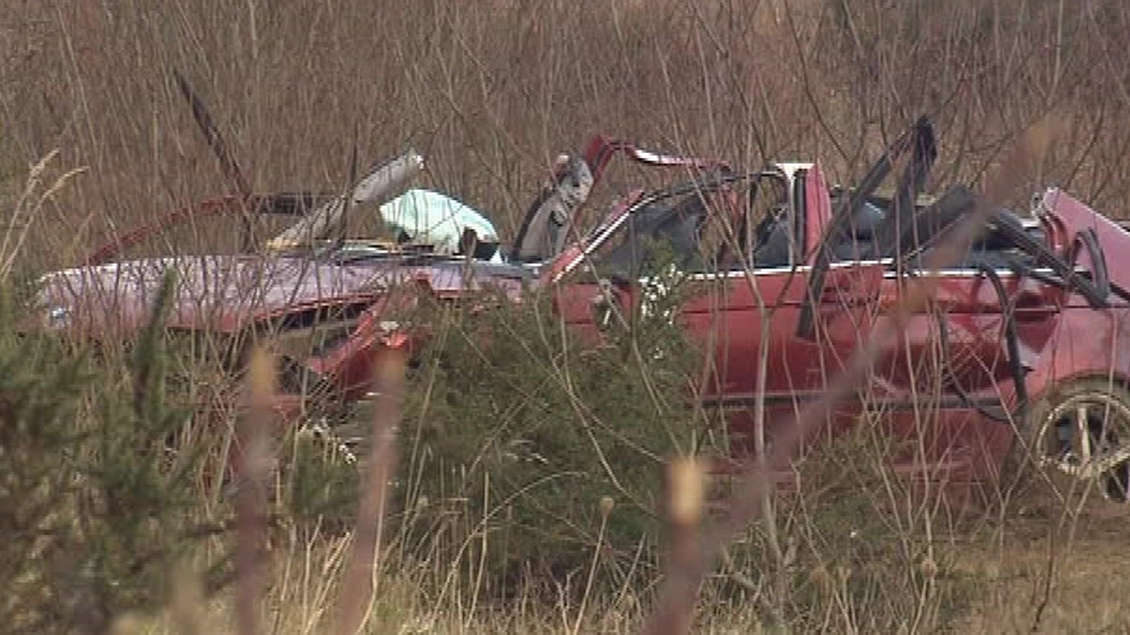 Appeal following fatal Louth car crash