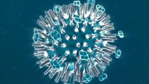 H1N1, often referred to as swine flu, was a flu strain that swept around in the world in a 2009/2010 pandemic