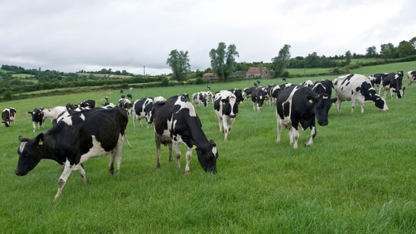 The PAC heard that the high number of cows in Ireland is a problem for Ireland's greenhouse gases