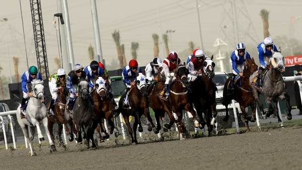 Meydan's World Cup card boasts more prize money than any other meeting on the planet