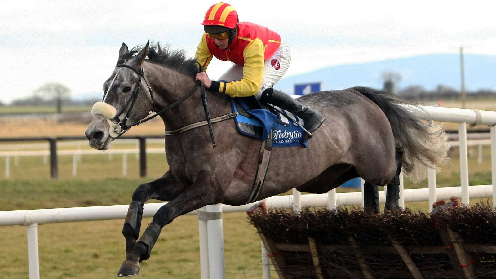 grey-on-target-for-irish-grand-national