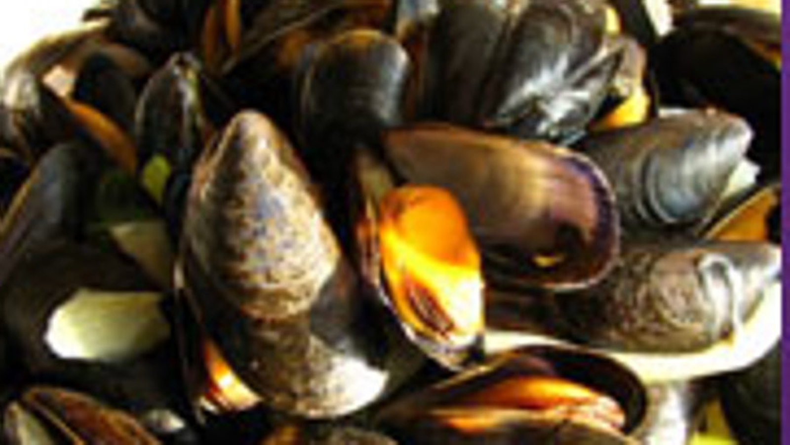 Fresh mussels recalled amid toxin concerns