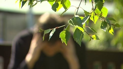 This is the second examination of mental health services in Carlow, Kilkenny and south Tipperary