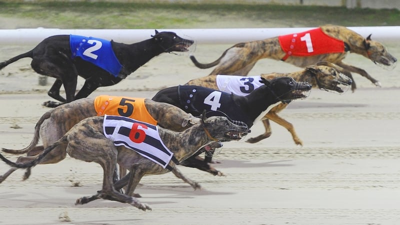 Opposition out of the traps over Govt funding for Greyhound Industry