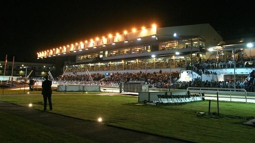 shelbourne dog racing tonight