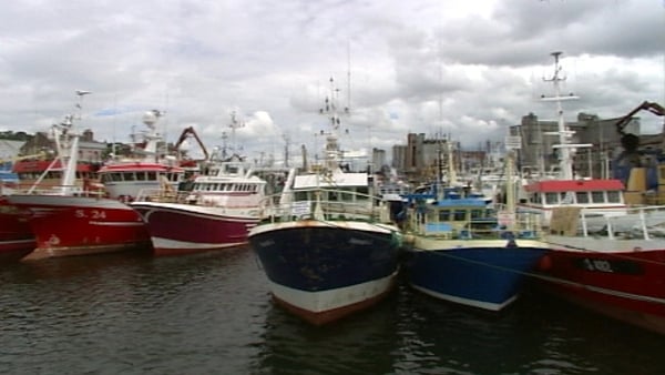 The tie-up scheme is open to fishers targeting deep water species, such as cod and haddock