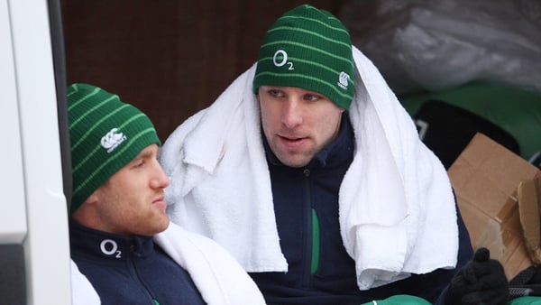 Luke Fitzgerald (left) and Tomas O'Leary (right) have both been left out in the cold by Declan Kidney