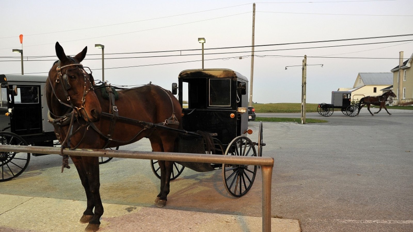 Amish jailed after refusing reflective signs