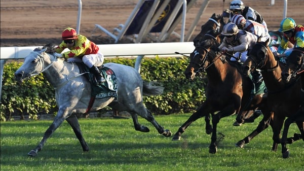 California Memory - drived out to win the Hong Kong Cup