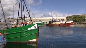 MEPs want to oblige vessels to land all fish caught