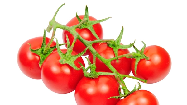 Don't keep your tomatoes in the fridge if you want to keep their flavour, according to US scientists.