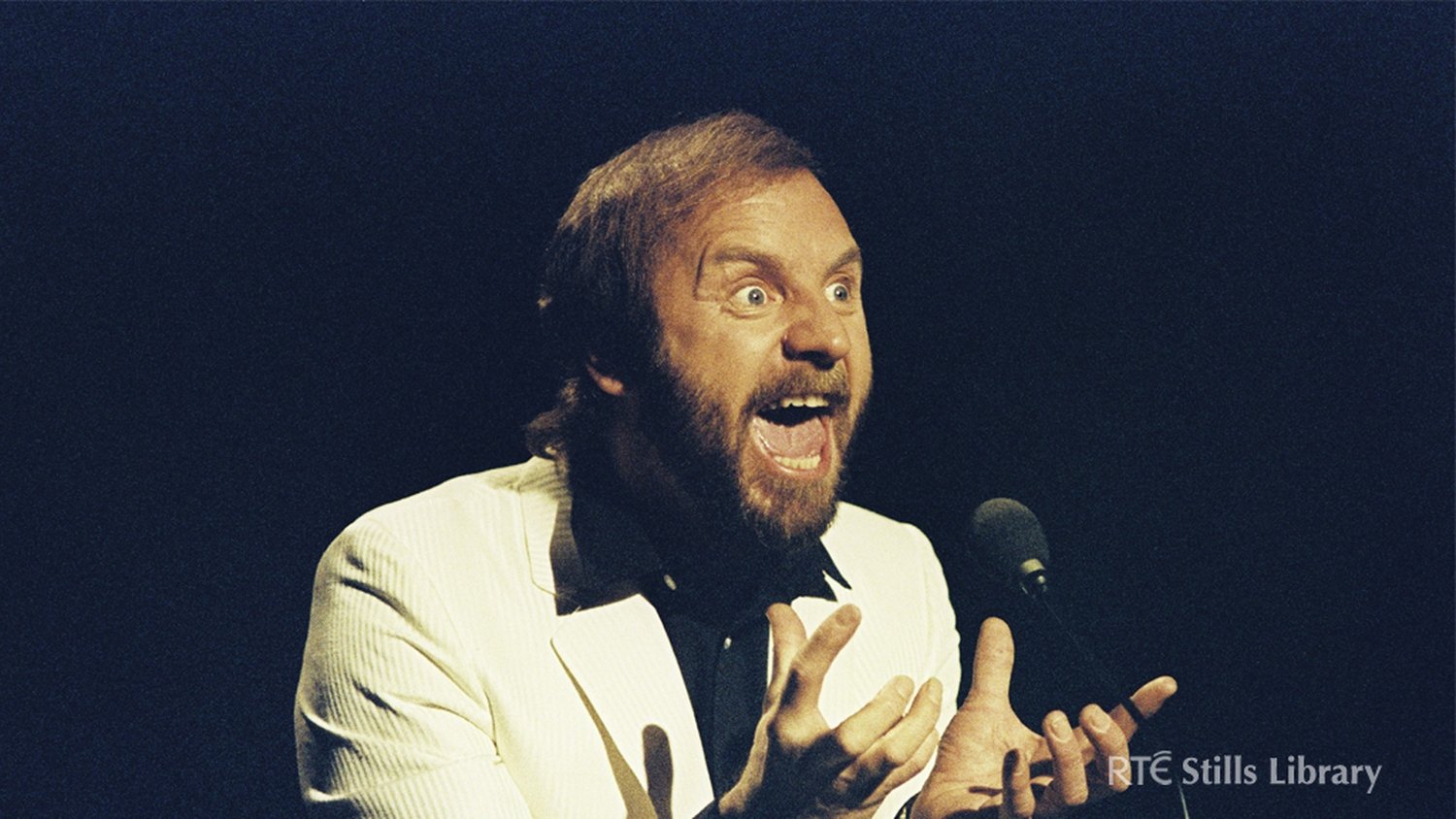 RTÉ Archives Politics General Election 1977