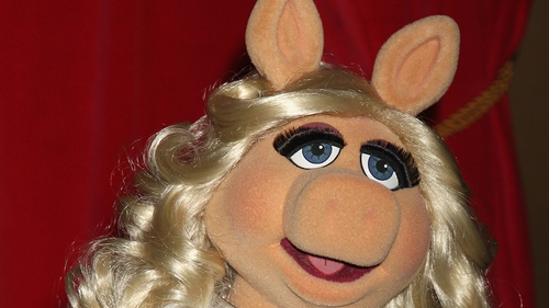 Missy Piggy - Currently shooting new movie Muppets Most Wanted