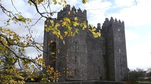 Bunratty Castle and Folk Park is one of the sites whose ownership is being transferred