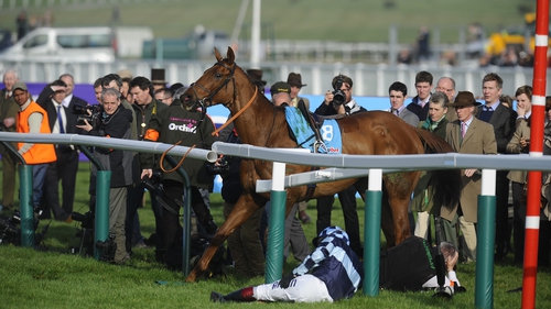 Richard Johnson tumbles into the rails after being unshipped from Wishful Thinking