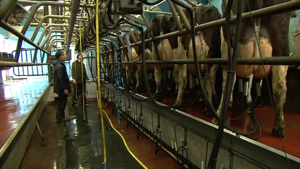 Dairy farmers across Europe have described the industry as being in crisis due to falling milk prices in recent months