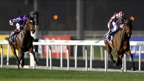 Cirrus Des Aigles, pictured winning the Dubai Sheema Classic in 2012, has yet to rediscover his best form since returning from injury