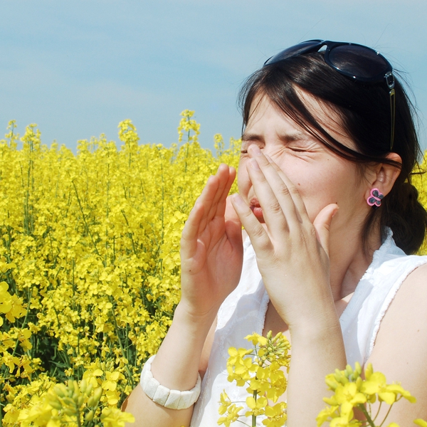 Don't get bogged down by the symptoms of hay fever