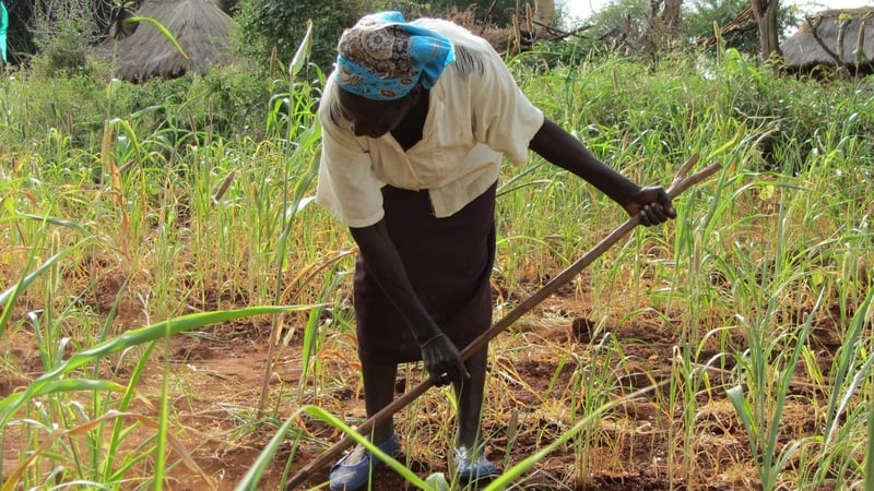 Kenya suffers as world leaders hold Earth Summit