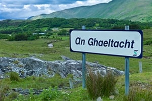 Calls have been made for the Government to recognise the language and economic crisis in the Gaeltacht