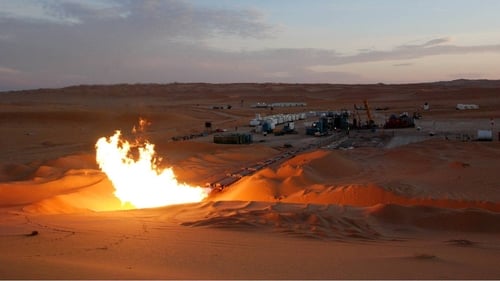 Oil exploration company Petroceltic was placed in examinership in March