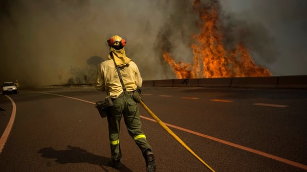 A firefighter walks on the road near a wildfire in Ojen, near the town of Malaga